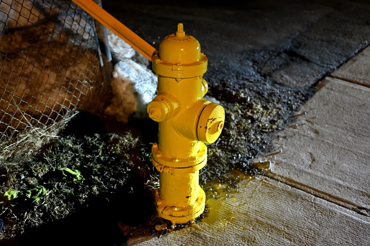 Shot on Nikon Corporation NIKON Z 6_2