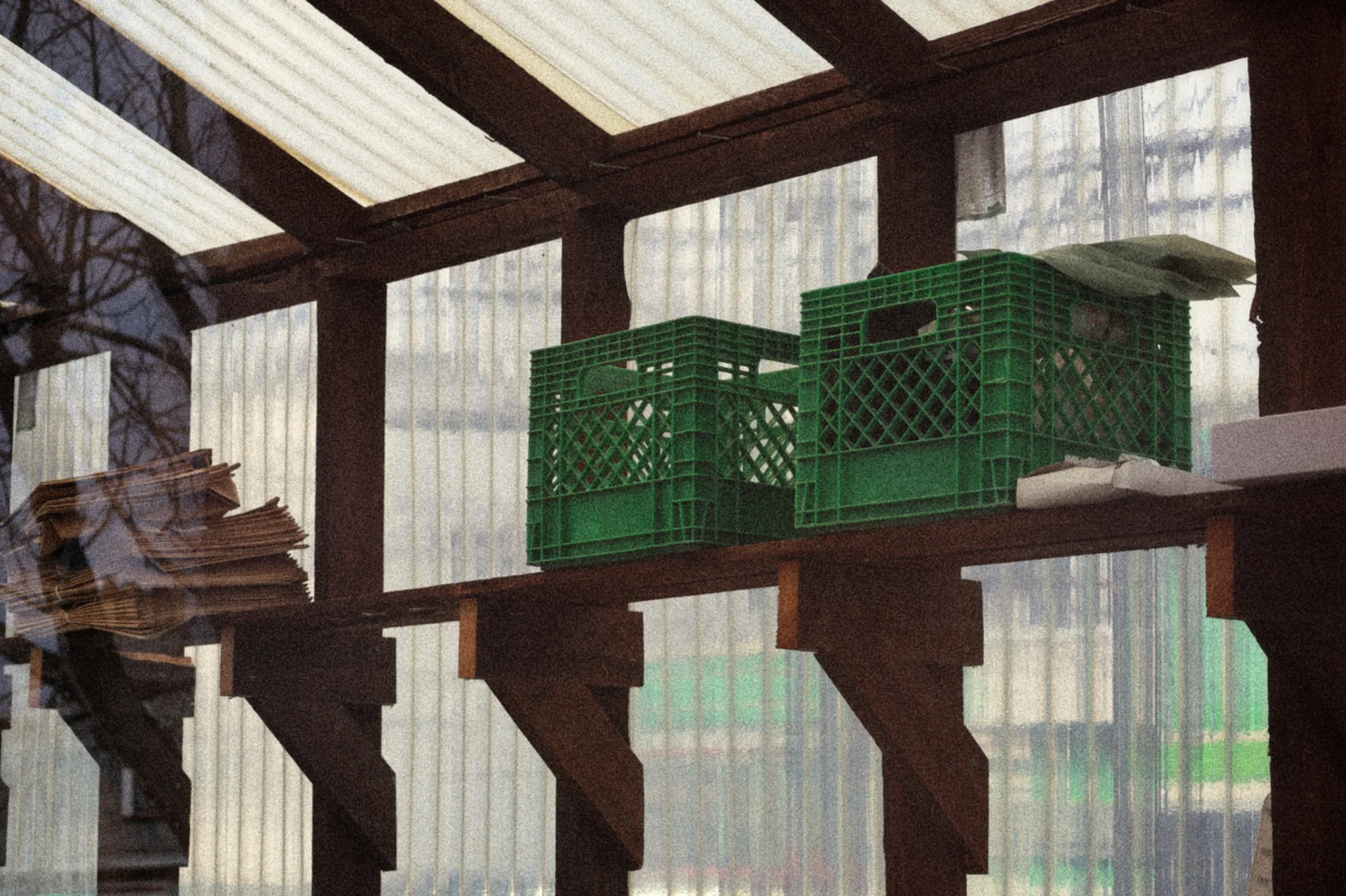 Shot on Canon Canon EOS R8