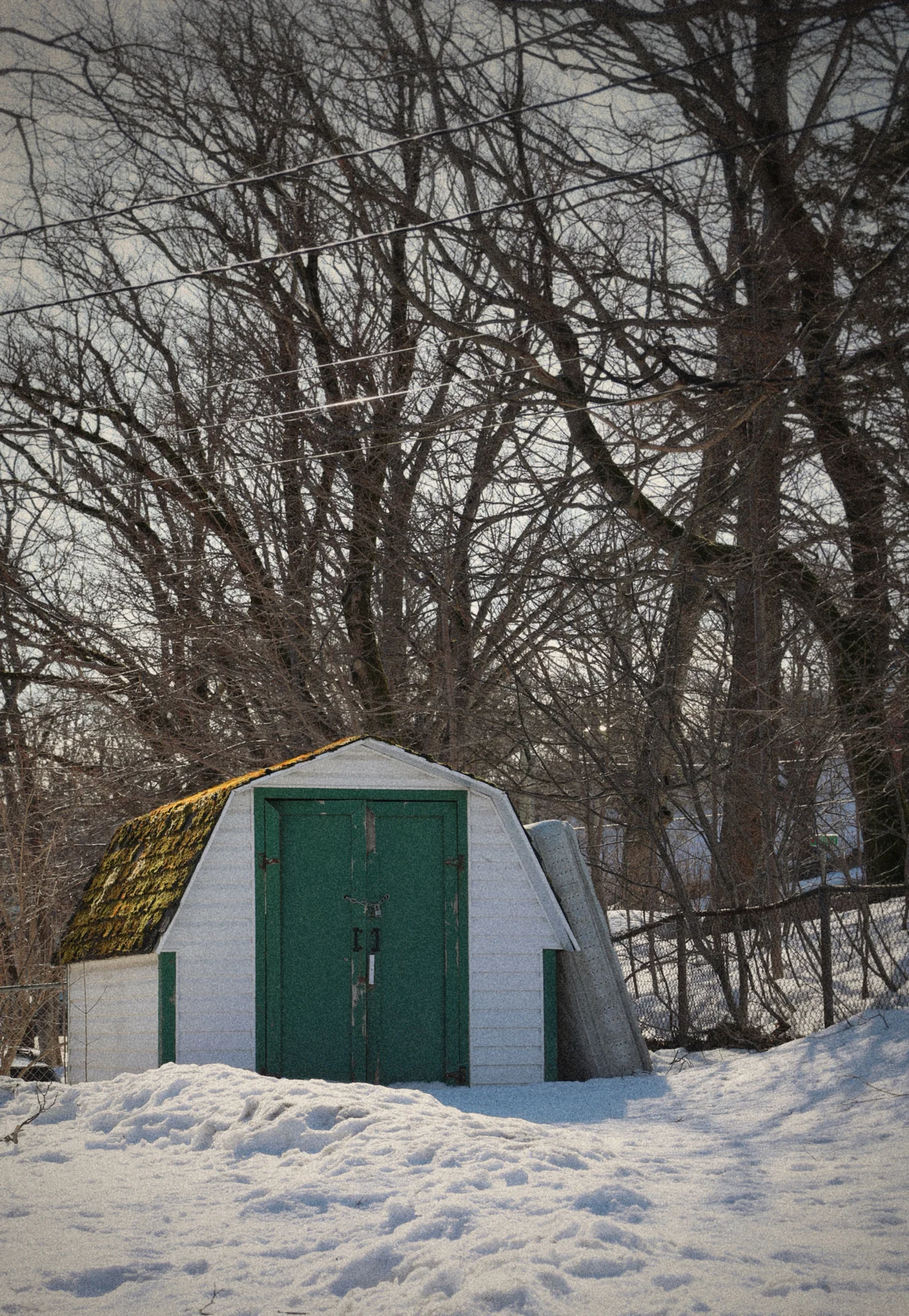 Shot on Canon Canon EOS R8