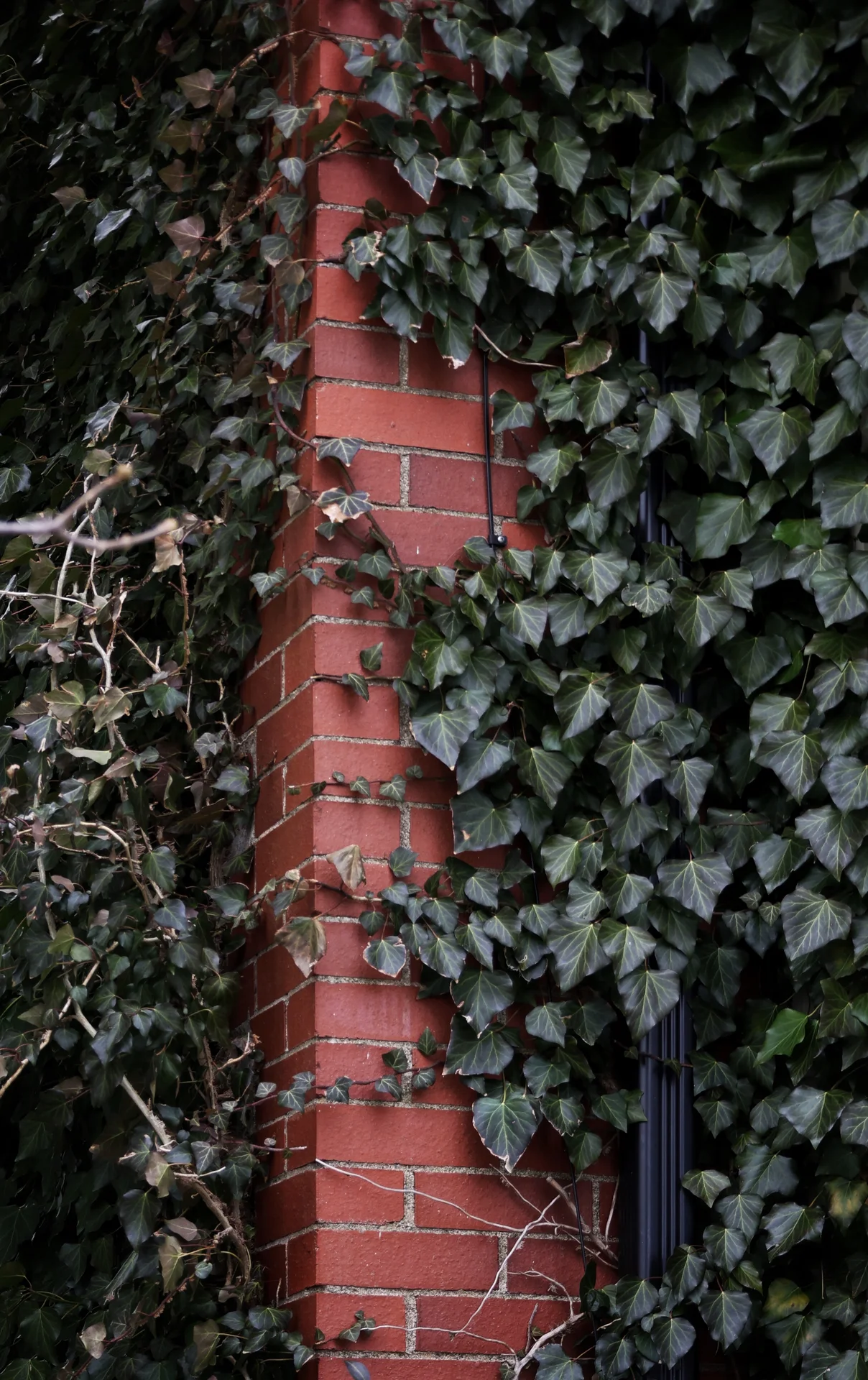 Shot on Canon Canon EOS R8