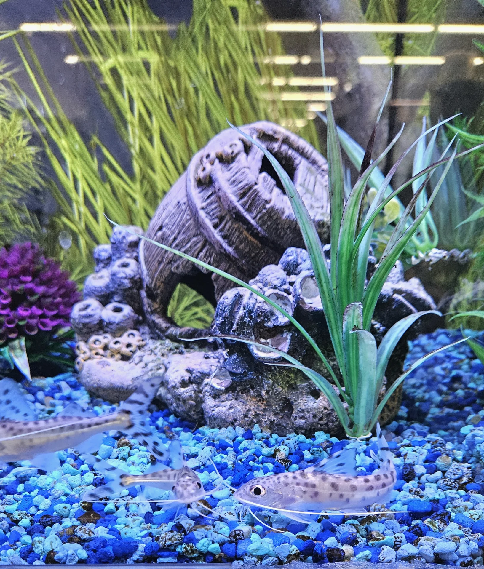 Shot on Samsung Galaxy S23+