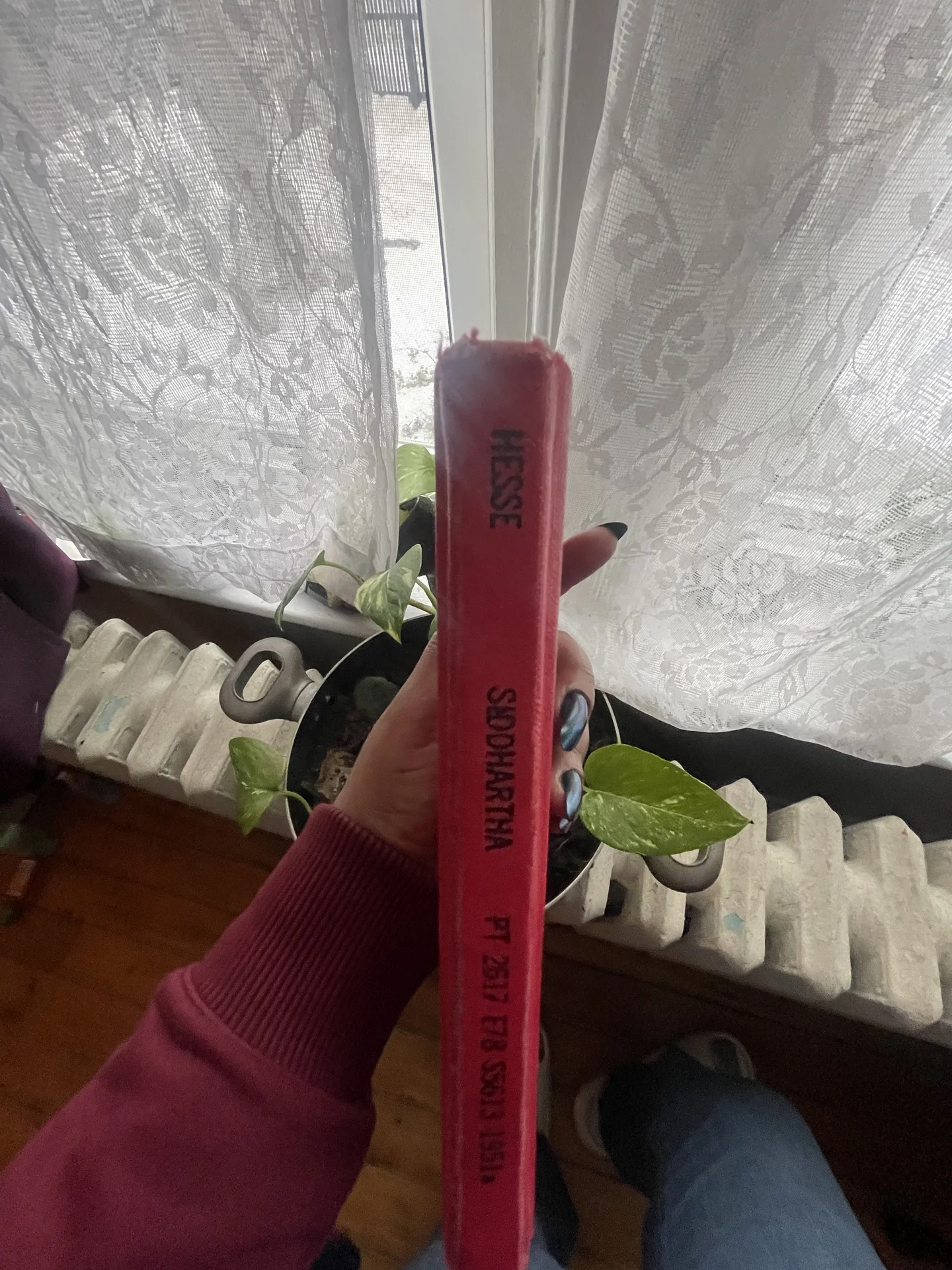 Shot on Apple iPhone 12 Pro