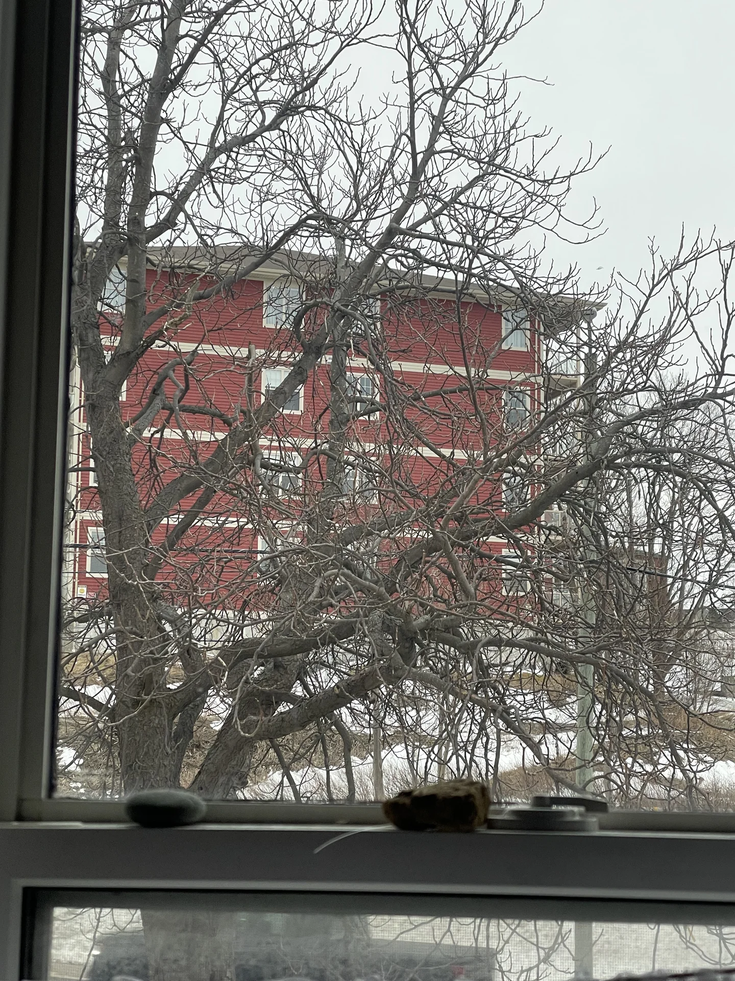 Shot on Apple iPhone 12 Pro