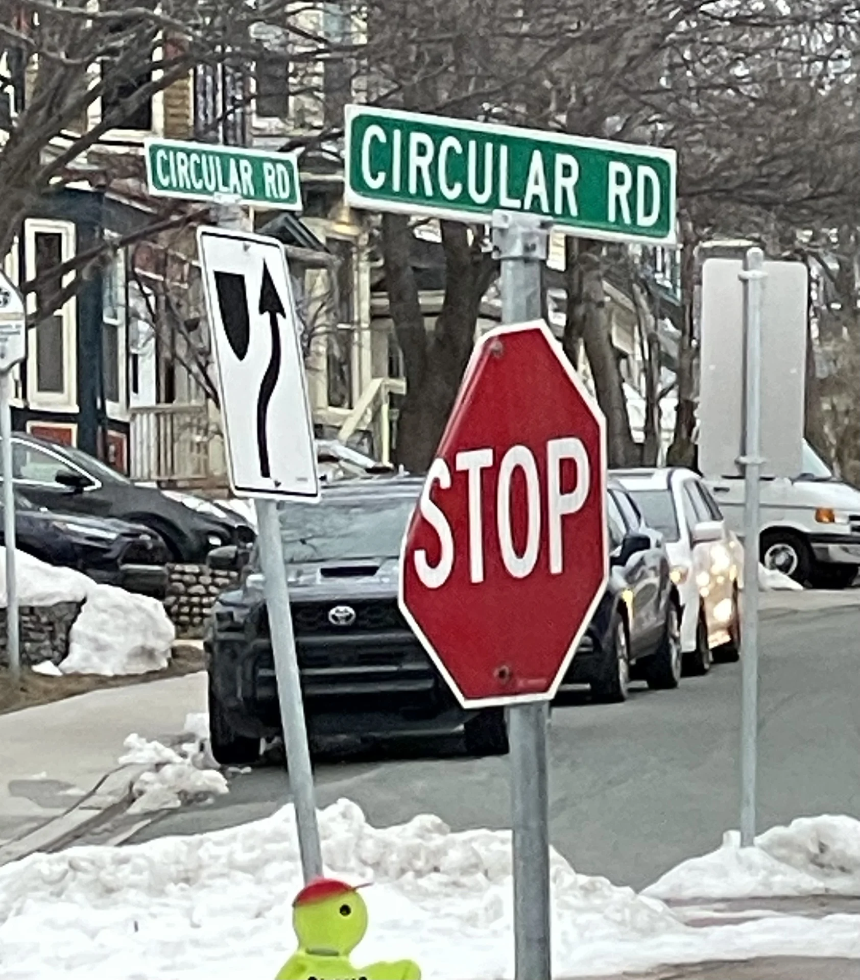 Shot on Apple iPhone 12 Pro