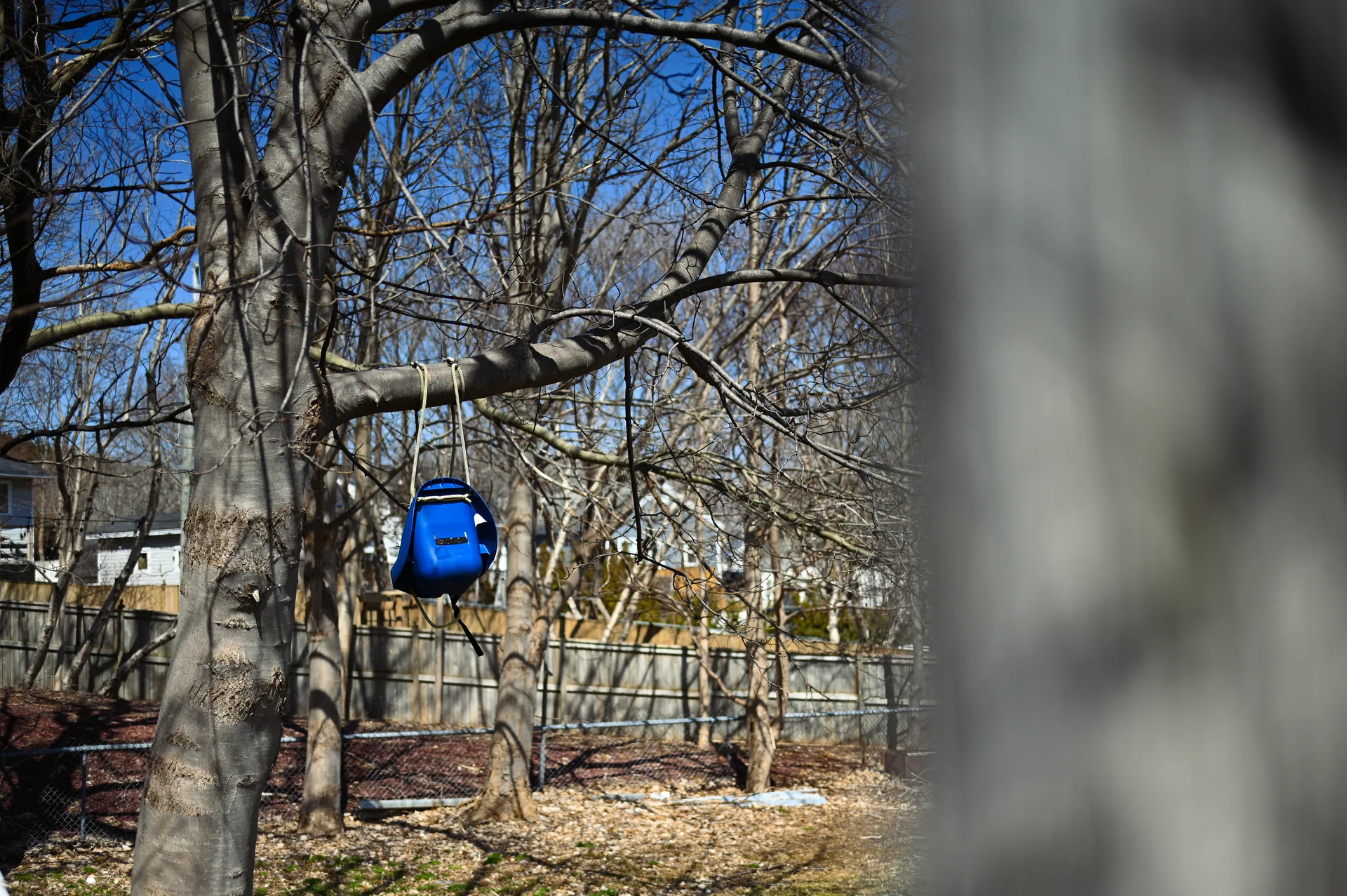 Shot on Nikon Corporation NIKON Z 6_2