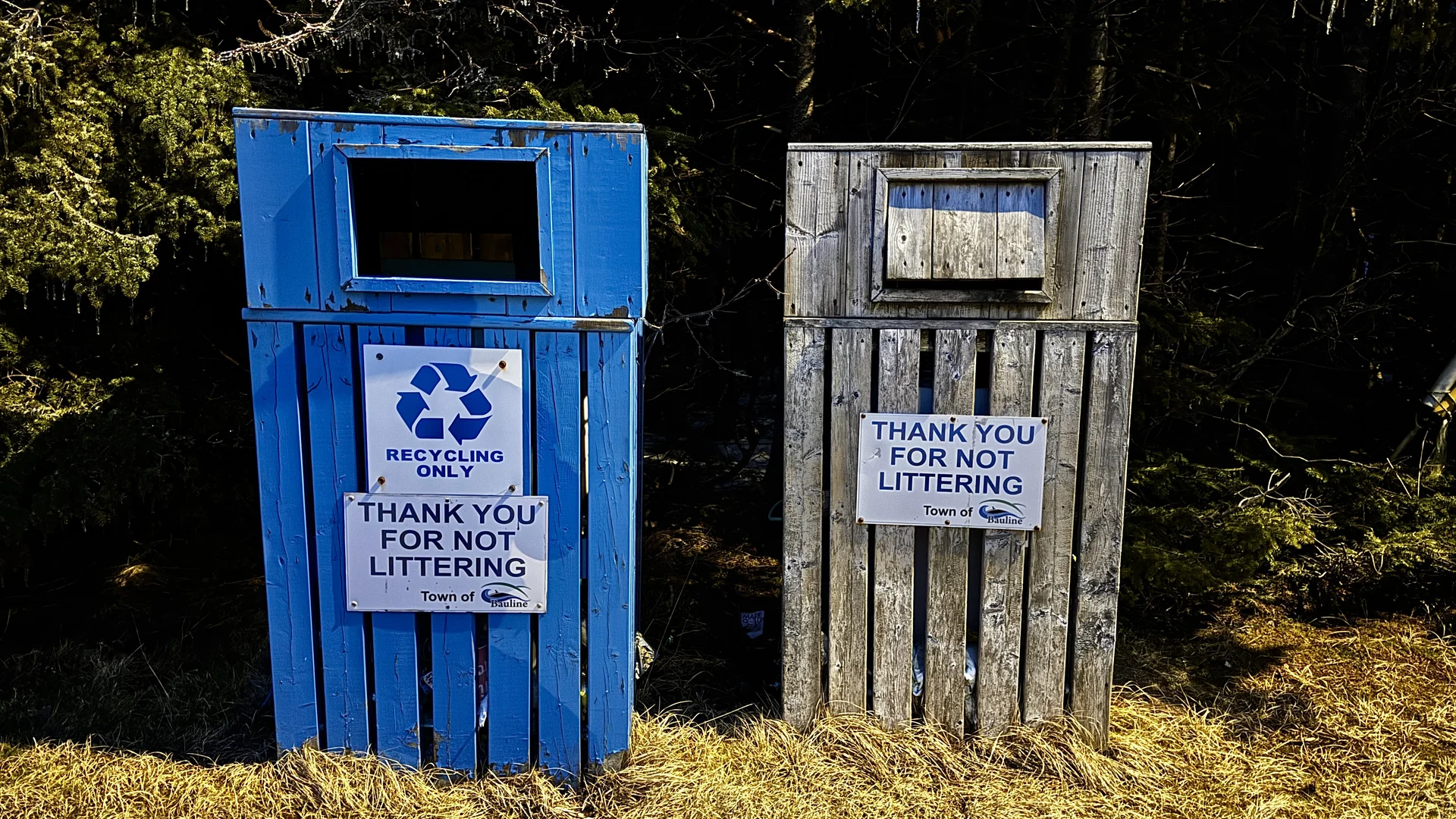 Shot on Apple iPhone 15 Pro Max