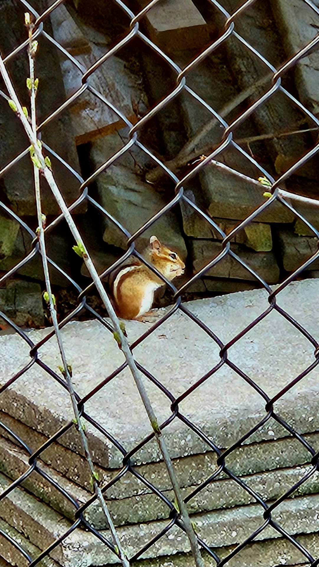 Shot on Samsung Galaxy S23+