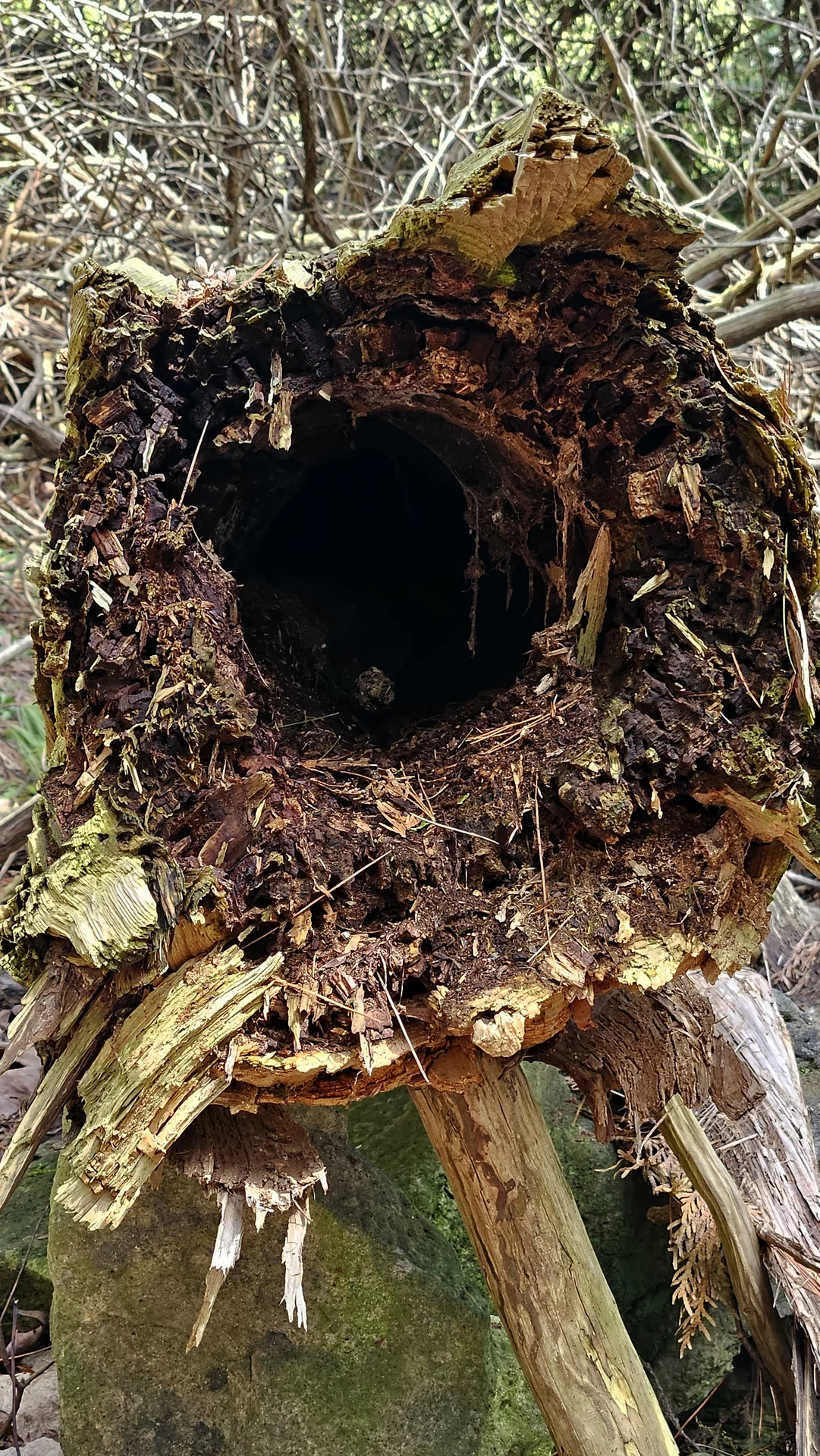 Shot on Samsung Galaxy S23+