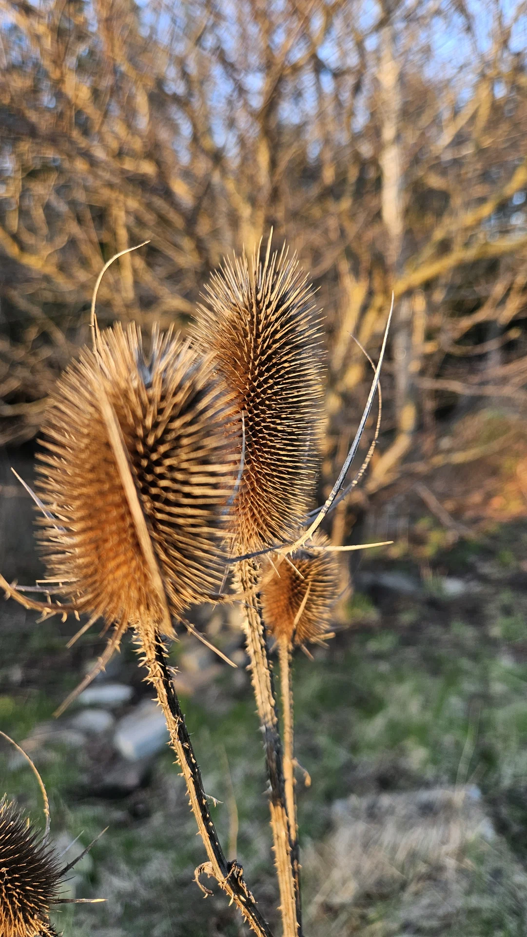 Shot on Samsung Galaxy S23+