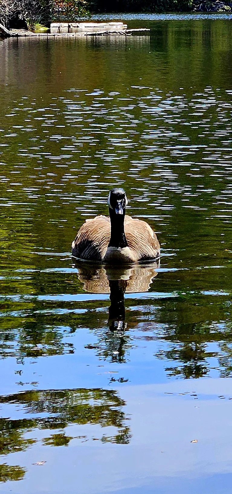 Shot on Samsung Galaxy S23+