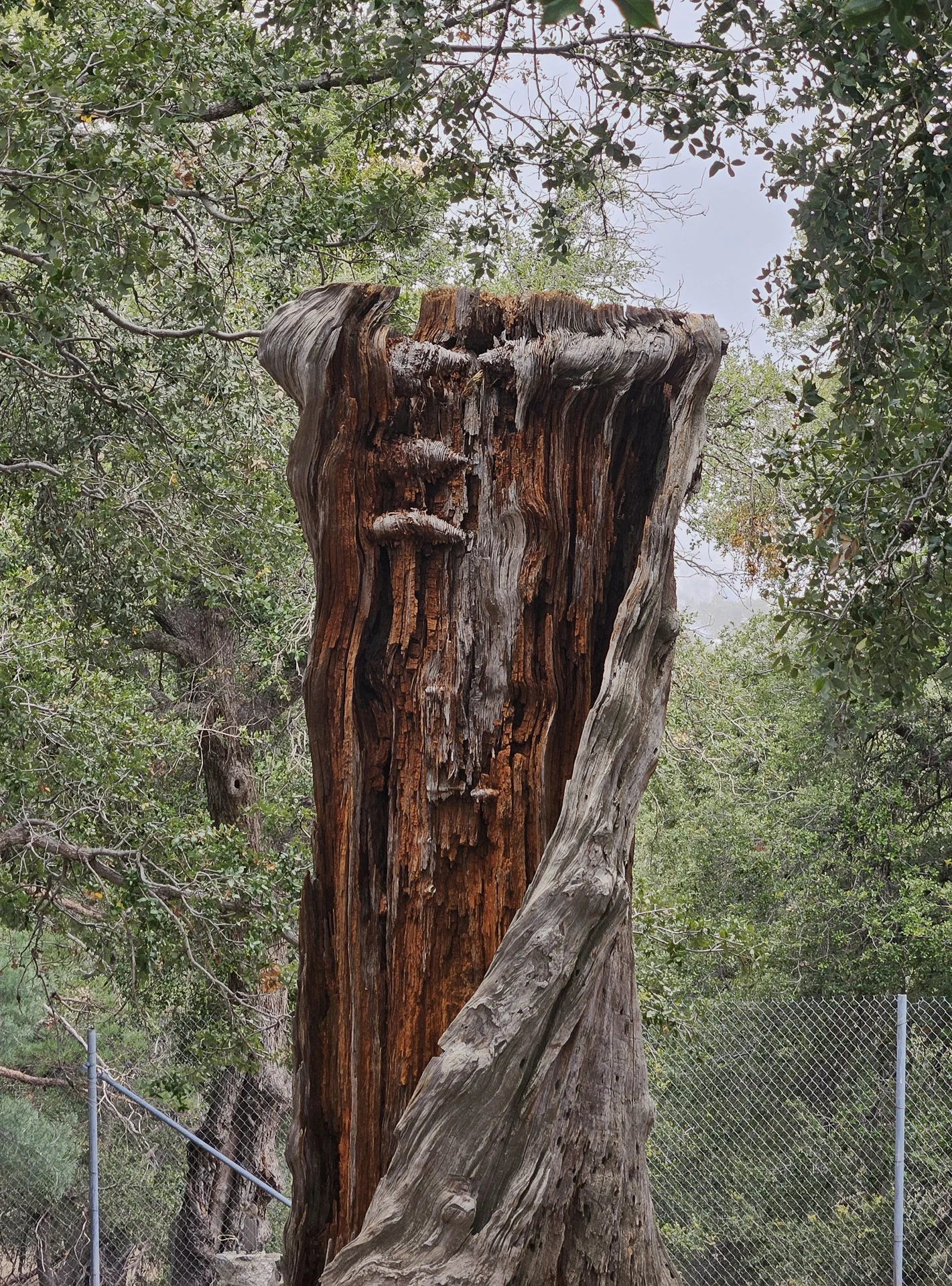 Shot on Samsung Galaxy S23+