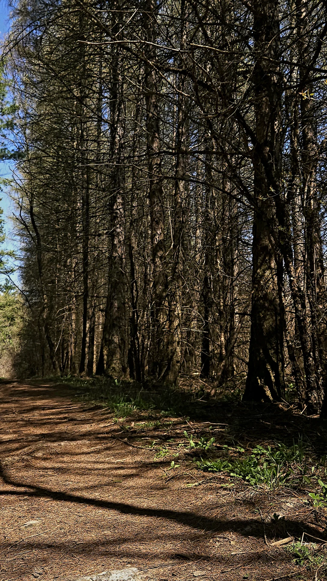 Shot on Samsung Galaxy S23+