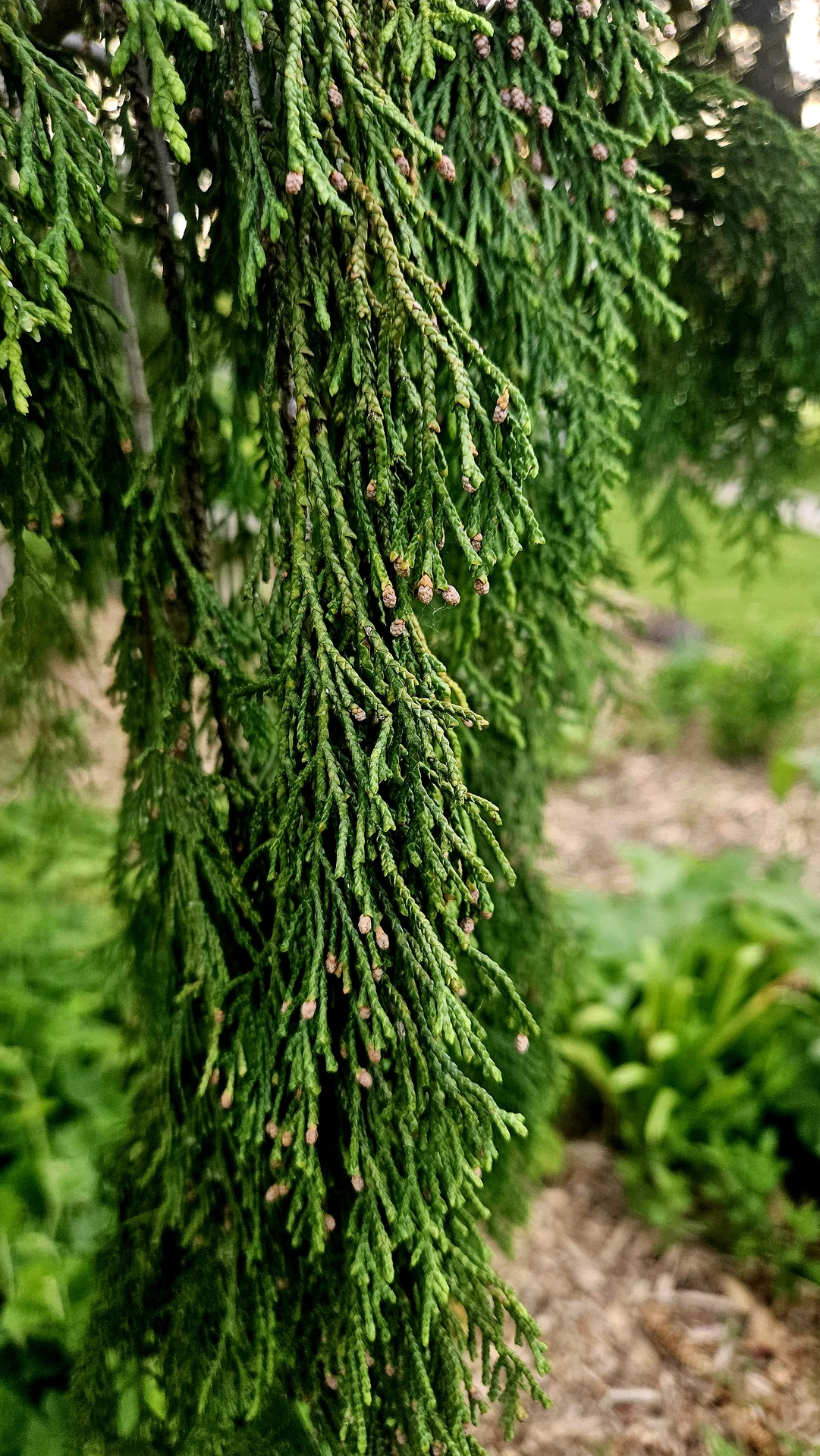 Shot on Samsung Galaxy S23+